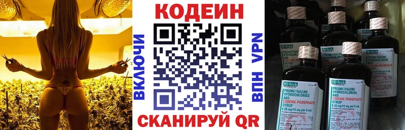 Купить закладки  Бородино  Кодеиновый сироп Lean Purple Drank 