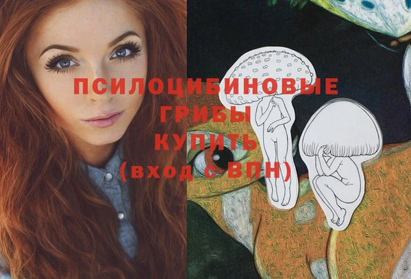 гидра Волоколамск