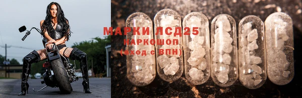 гидра Волоколамск