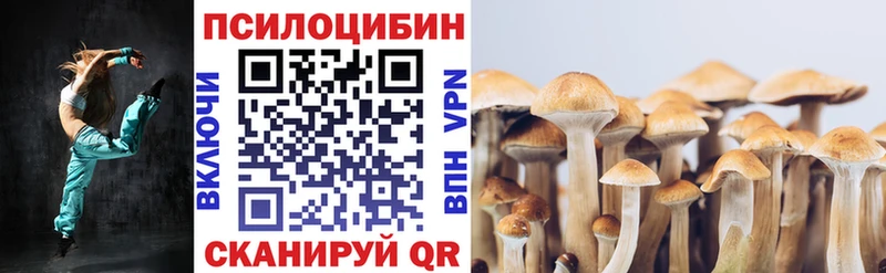 Купить  Бородино  Галлюциногенные грибы GOLDEN TEACHER 